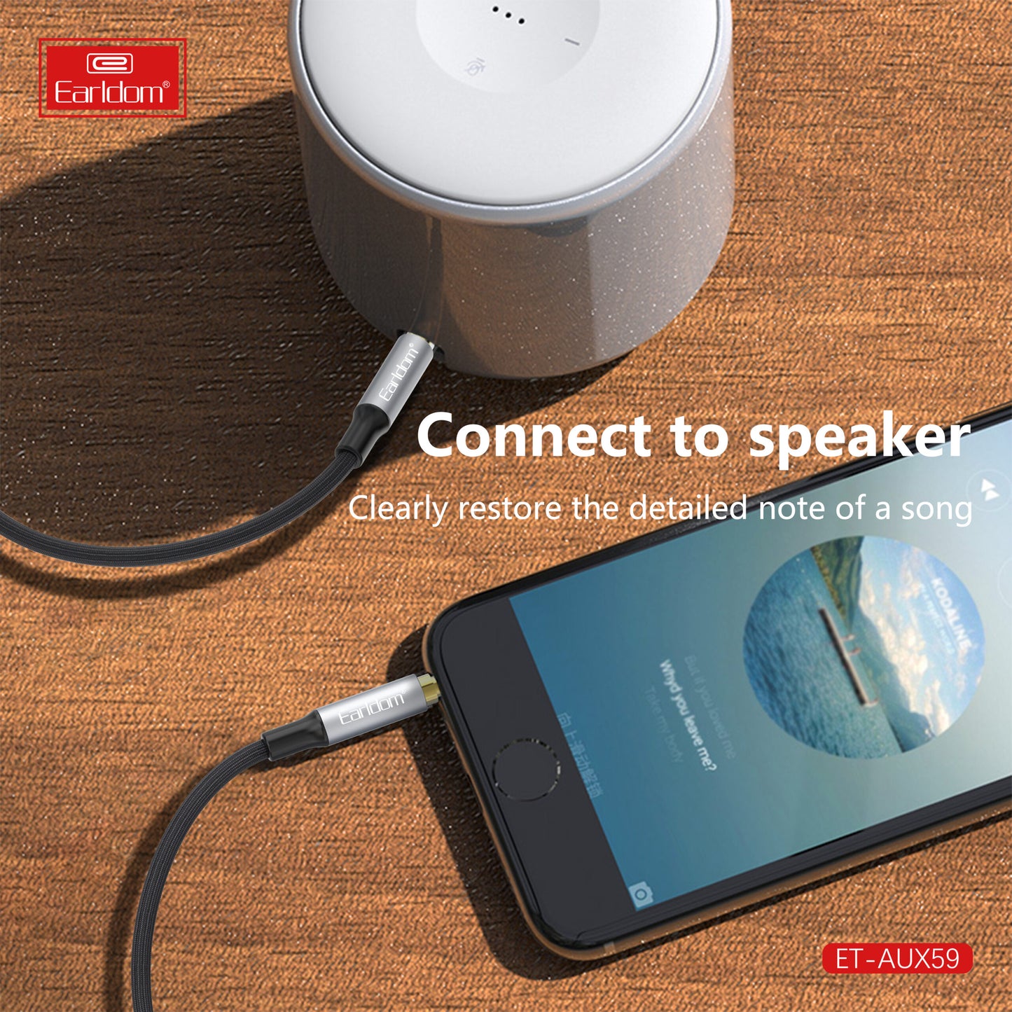 Câble auxiliaire Hi-Fi Earldom 3,5 mm - Noir | AUX59