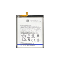 Batterie pour Samsung Galaxy S21 PLUS 5G