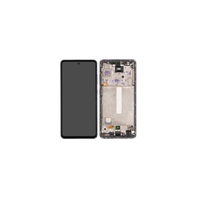 SERVICE PACK (Avec châssis) ECRAN LCD S21 PLUS 5G (G996B/U)